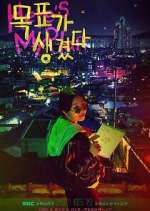 Watch Here's My Plan Movie2k