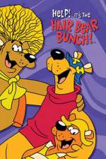 Watch Help!... It's the Hair Bear Bunch Movie2k