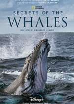 Watch Secrets of the Whales Movie2k