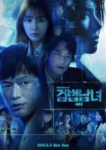 Watch Investigation Couple Movie2k