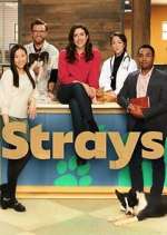 Watch Strays Movie2k