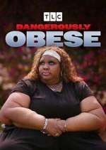 Watch Dangerously Obese Movie2k