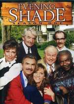 Watch Evening Shade Movie2k